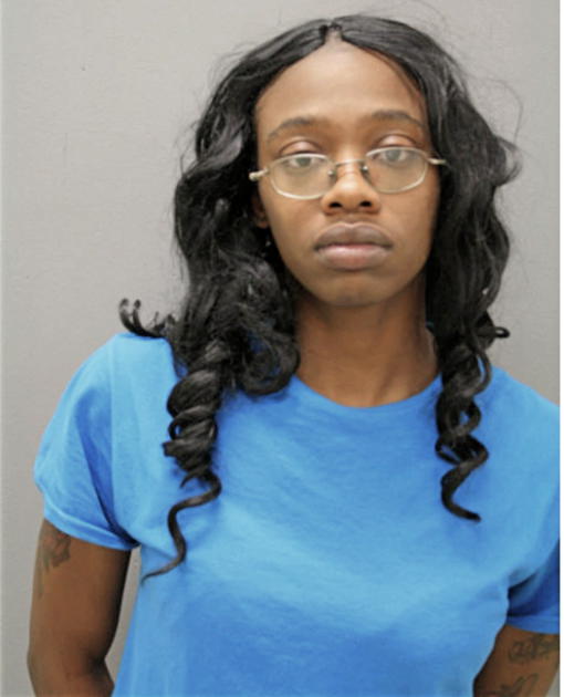 ASHLEE N SYKES, Cook County, Illinois