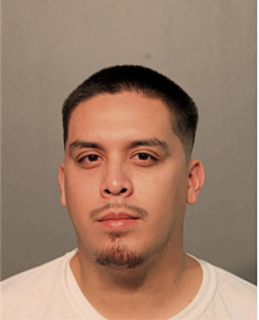 EDWIN F PLATA, Cook County, Illinois