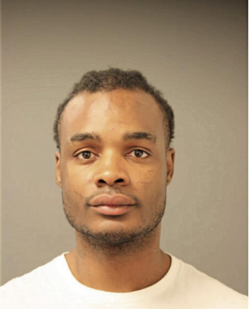 JOHNNIE L RICHARDSON, Cook County, Illinois