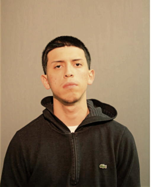 ANDY SANCHEZ, Cook County, Illinois