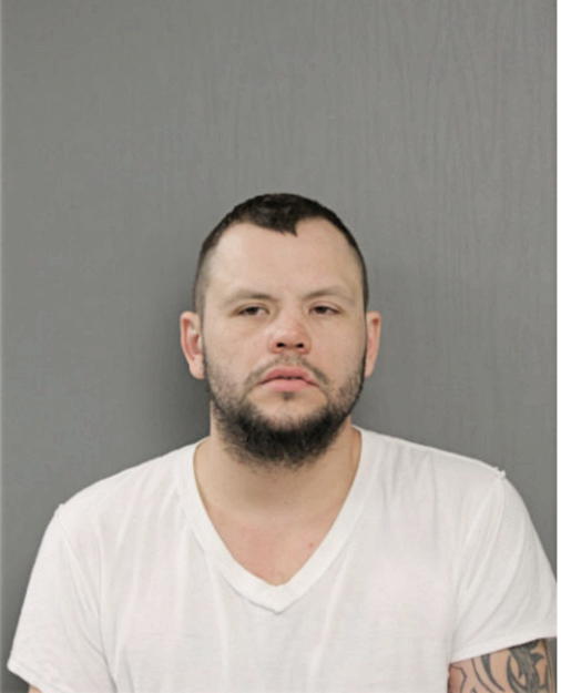 MICHAEL R TODOSIJEVIC, Cook County, Illinois