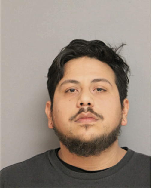 JOVANY V BAHENA, Cook County, Illinois