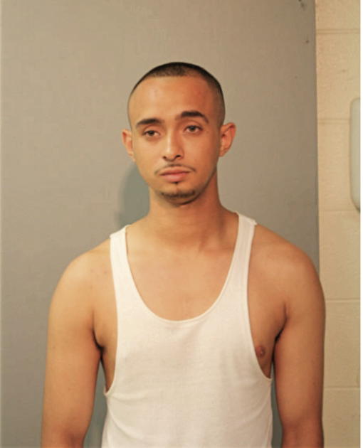 LUIS A BOYAS, Cook County, Illinois