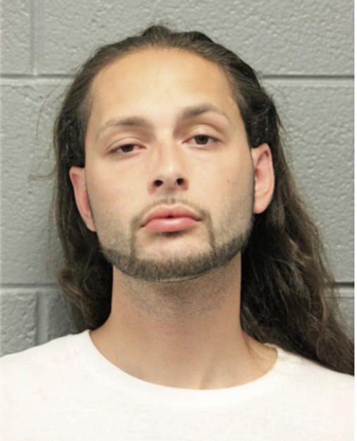 MICHAEL J DAVILA, Cook County, Illinois