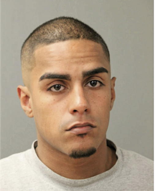 RAFAEL A DIAZ, Cook County, Illinois