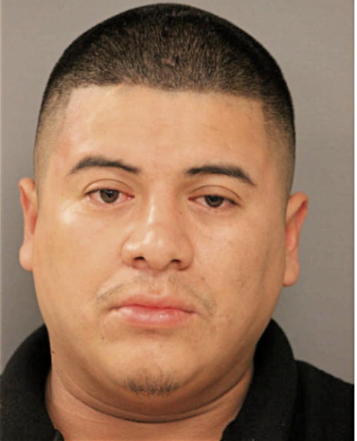 LUIS A ESPINOZA, Cook County, Illinois