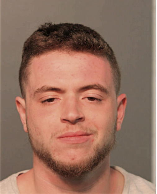 NATHANIEL R GOLDMAN, Cook County, Illinois