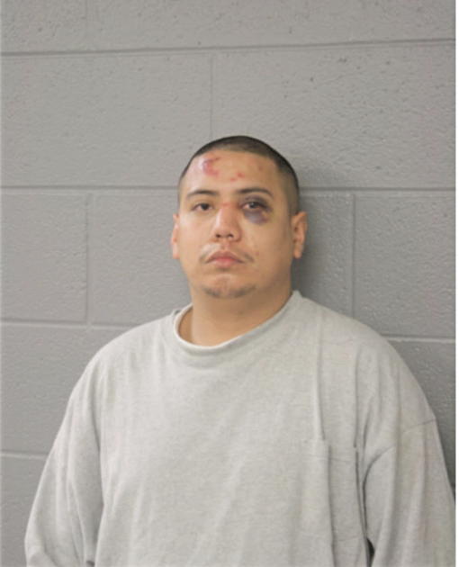 RICARDO GONZALES, Cook County, Illinois