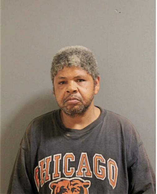 MICHAEL S HAYES, Cook County, Illinois