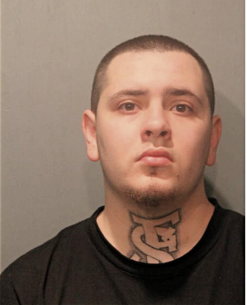 STEVE M HEIDDEGGER, Cook County, Illinois