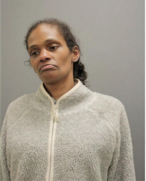 ROBIN A HIGH, Cook County, Illinois