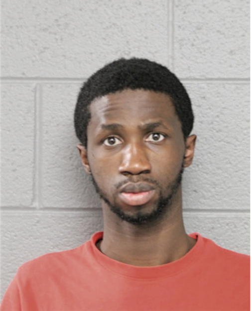 DIONTE A JOHNSON, Cook County, Illinois