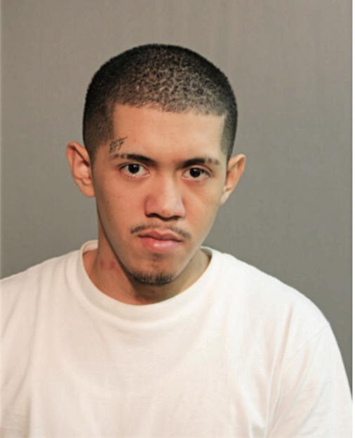 MICHAEL A MARTINEZ, Cook County, Illinois