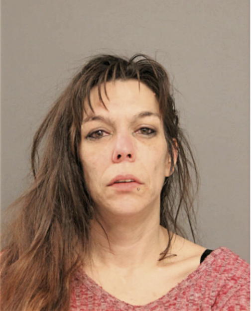 KATHY M NOVAK, Cook County, Illinois