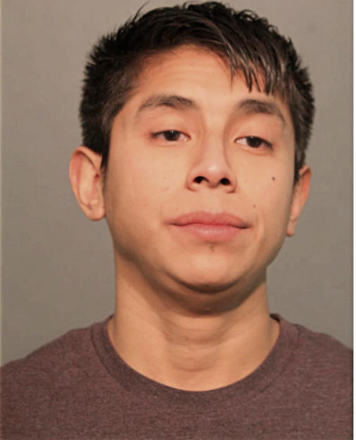 WILSON PATRICIO, Cook County, Illinois