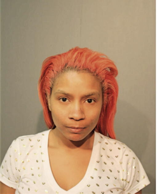 LAKEISHA N RAMSEY, Cook County, Illinois