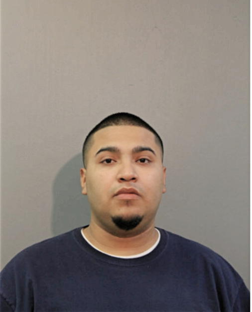 LUIS A SALGADO, Cook County, Illinois