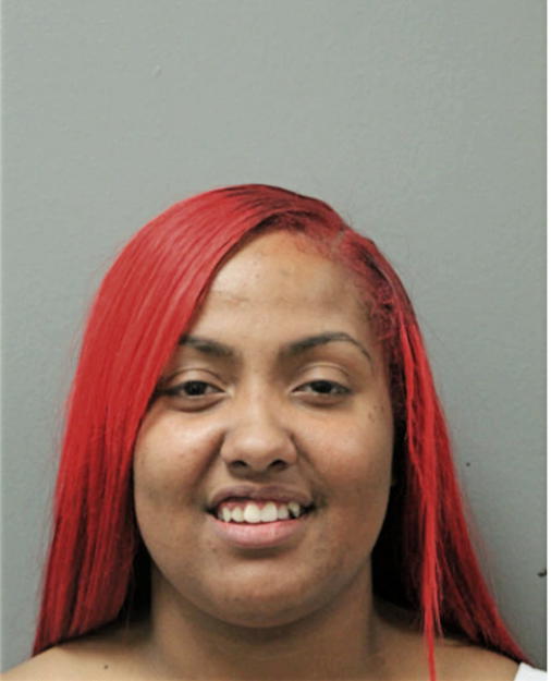 ANGEL E TORRES, Cook County, Illinois