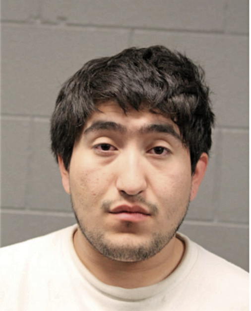 GERMAN VALENZUELA, Cook County, Illinois