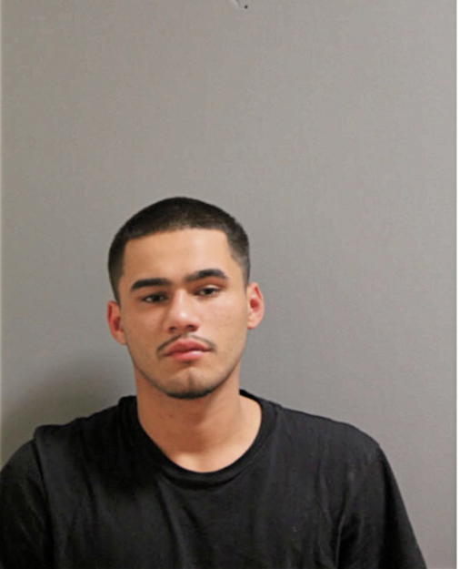 ALEJANDRO VILLARREAL, Cook County, Illinois