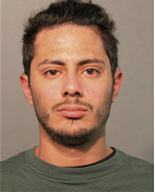 LUIS ALVAREZ, Cook County, Illinois