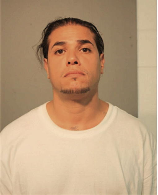 ENRIQUE J BORJON, Cook County, Illinois