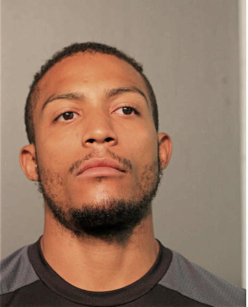 JERRY L BROWN, Cook County, Illinois