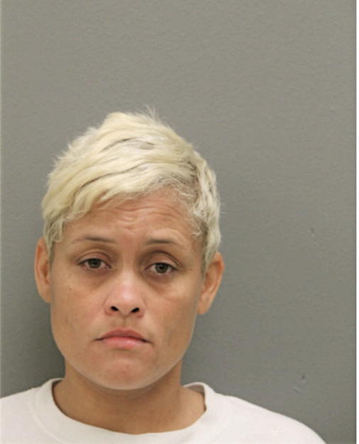 CRYSTAL M BRUNT, Cook County, Illinois