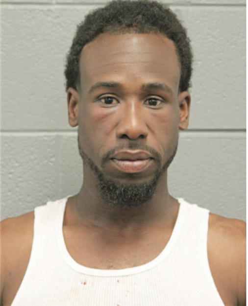 BRANDON T CHAPMAN, Cook County, Illinois