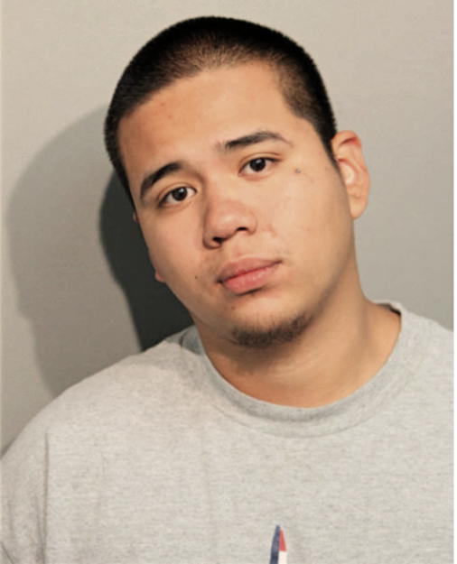 OSVALDO ESTRADA, Cook County, Illinois