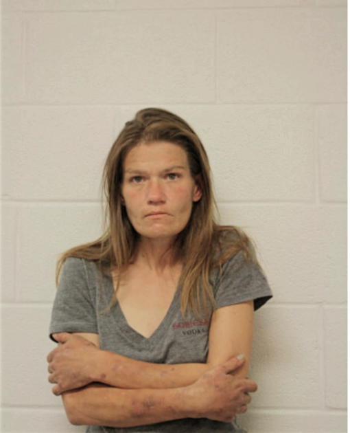 JULIE J FERGUSON, Cook County, Illinois
