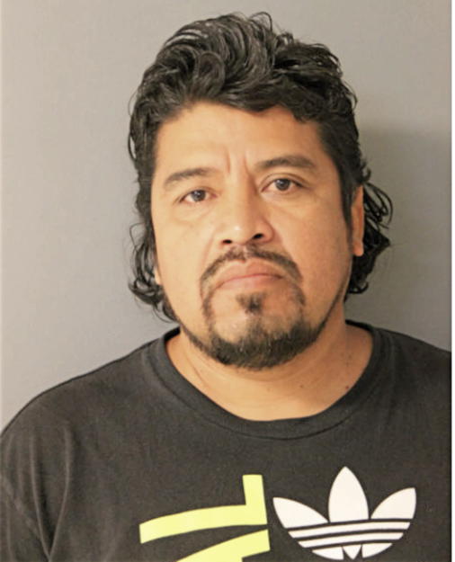 GABRIEL FLORES, Cook County, Illinois