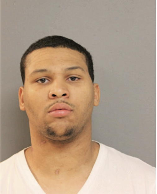 CHRISTOPHER M FRY, Cook County, Illinois