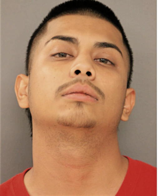 ANGEL M GONTARZ, Cook County, Illinois