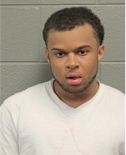 CHRISTOPHER X GREER, Cook County, Illinois