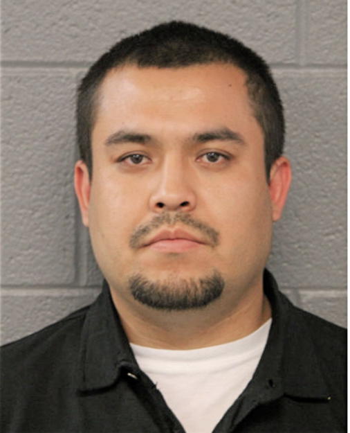 PABLO HERNANDEZ, Cook County, Illinois