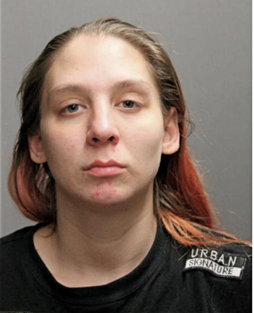 SHERI L KNEPPLE, Cook County, Illinois