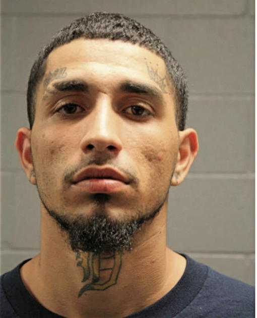MICHAEL J LOZADO, Cook County, Illinois