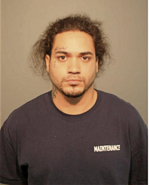 SEBASTIAN R MELENDEZ, Cook County, Illinois