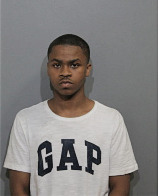 LEMARIO J MULDROW, Cook County, Illinois