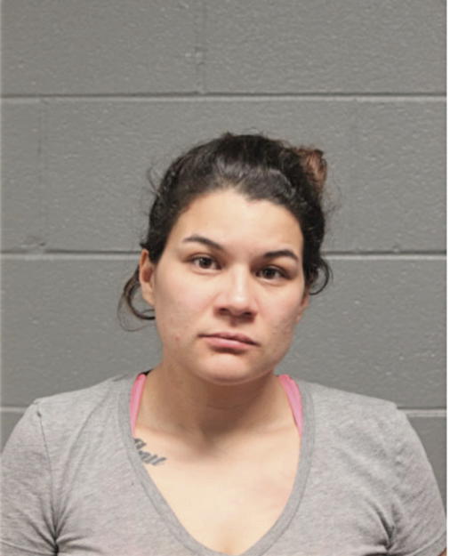 LIDIA A NUNEZ, Cook County, Illinois