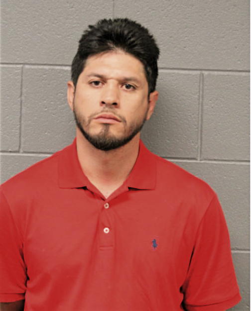 MARIO ORTEGA, Cook County, Illinois