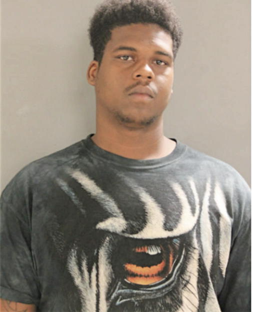 CHRISTOPHER A PERRY, Cook County, Illinois