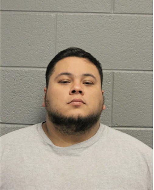 LUIS A RAUDA, Cook County, Illinois