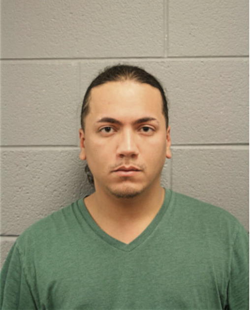 RAY L RIVERA, Cook County, Illinois