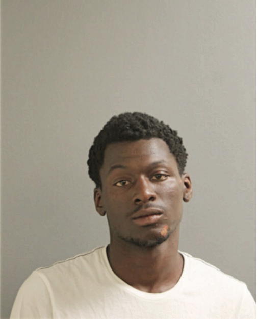 ANDREW J THOMAS, Cook County, Illinois