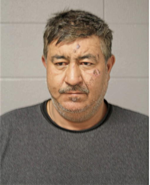 JUAN C VARGAS, Cook County, Illinois