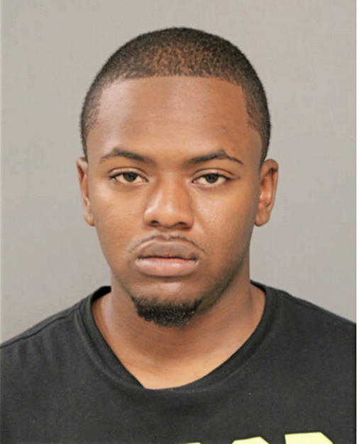 DAVID F VILLANUEVA, Cook County, Illinois