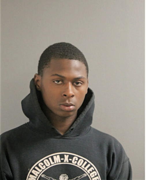 THEODORE WILKINS, Cook County, Illinois