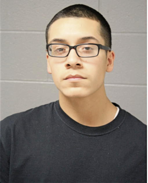 ARMANDO ALLENDE, Cook County, Illinois